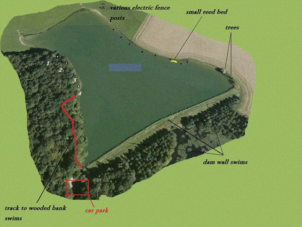 Boux Carp Fishing in France