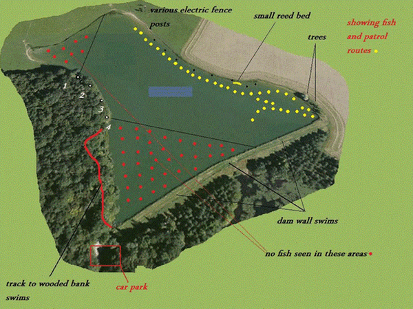 Boux Carp Fishing In France