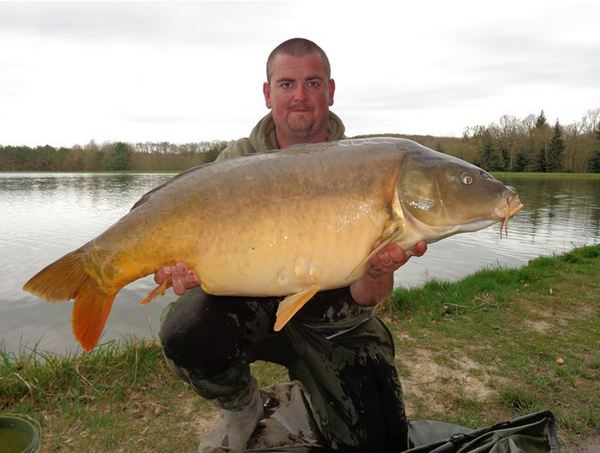 Boux Carp in France 