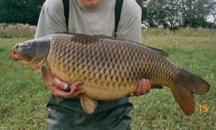 Big Water Carp – A Little Bit of the Unknown - Angling Lines Blog 🎣