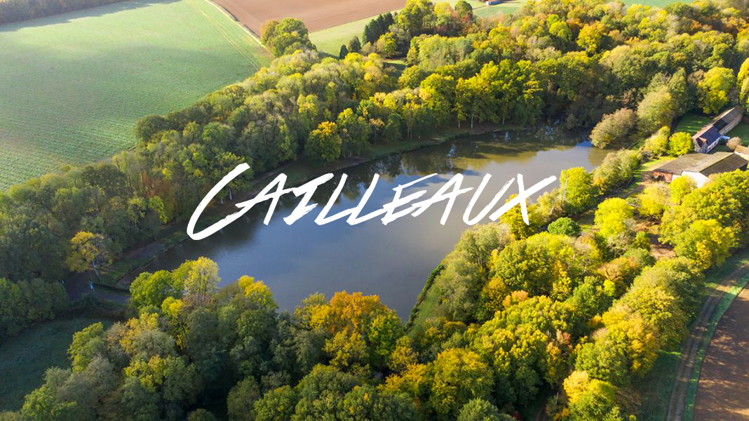 Cailleaux carp fishing in France runs water